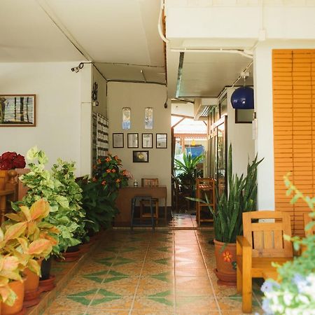 Nu Phen Homestay Chiang Mai Zewnętrze zdjęcie